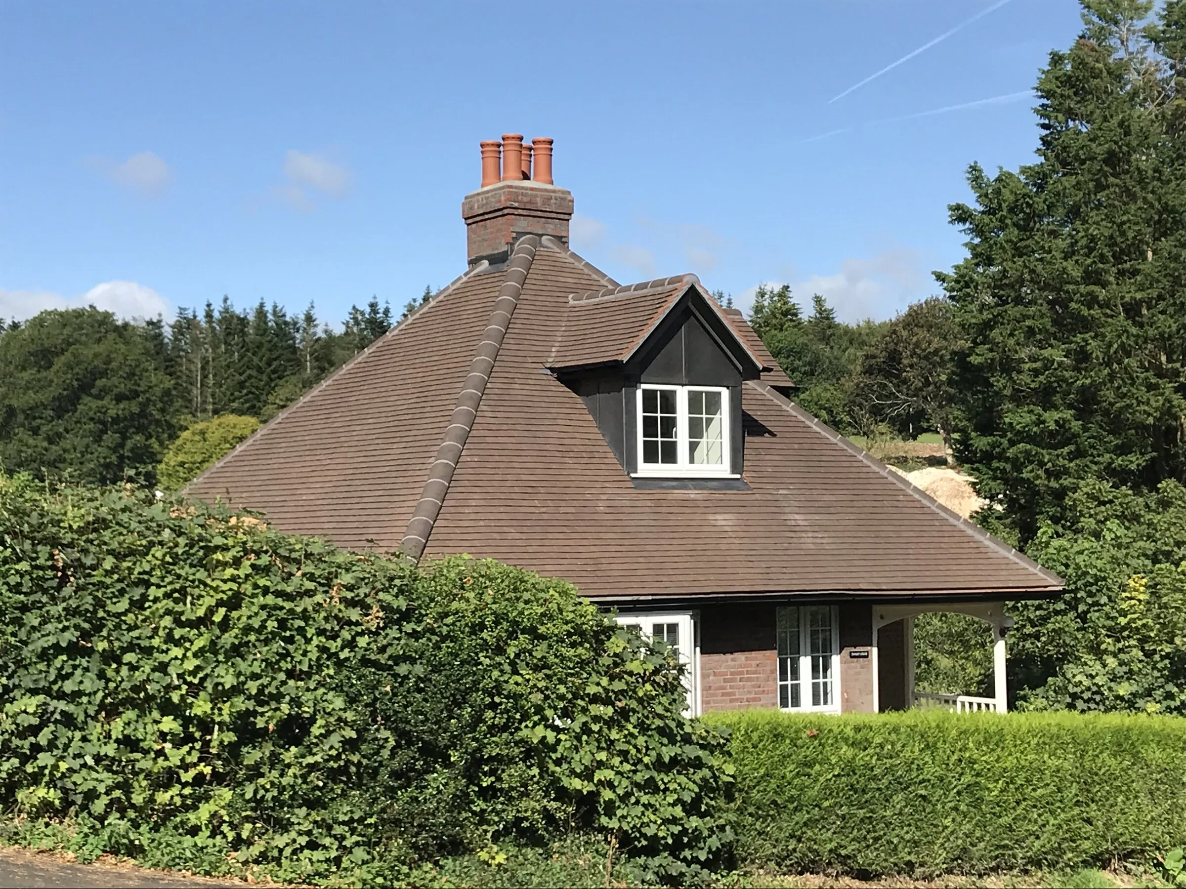 Brick bungalow with a tiled roof and dormer, behind a tall hedge